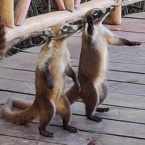 Meet your Posher, Eva